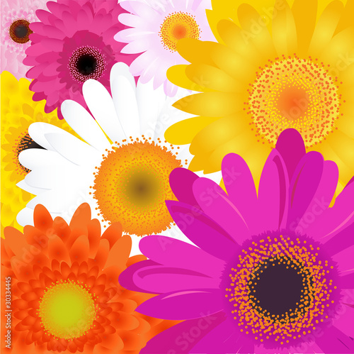Bright Flowers