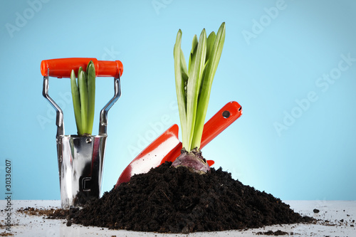 Gardening concept photo