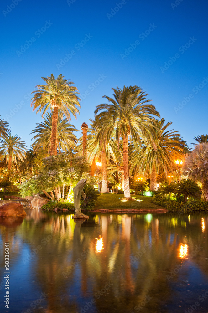 Obraz premium Palm trees during sunset