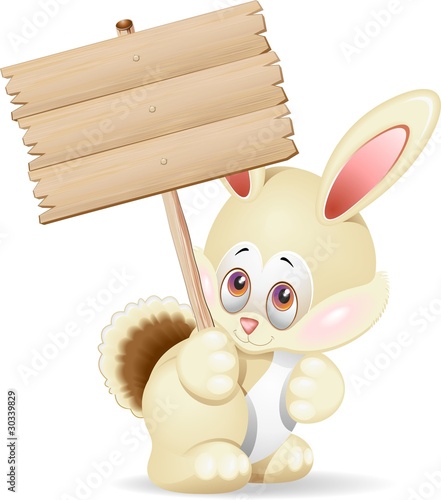 Coniglio Cartoon con Pannello-Cartoon Rabbit with Panel-Vector photo