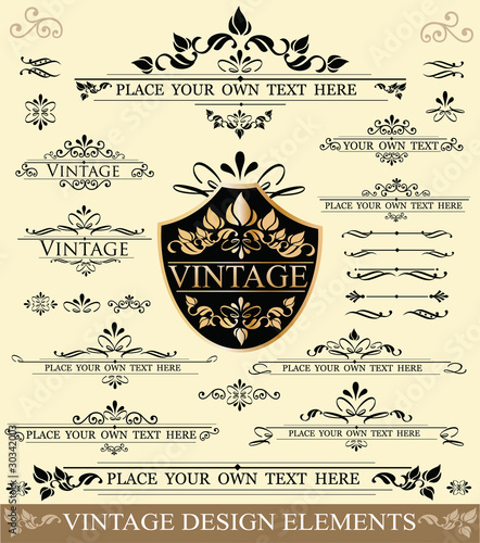 Vector Set of Vintage Design Elements