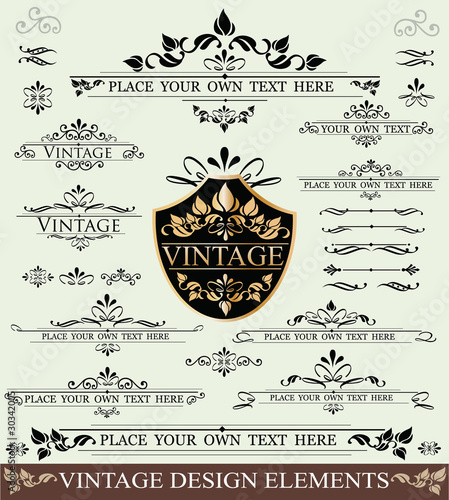 Vector Set of Vintage Design Elements