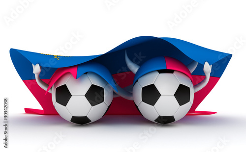 Two soccer balls hold Liechtenstein flag