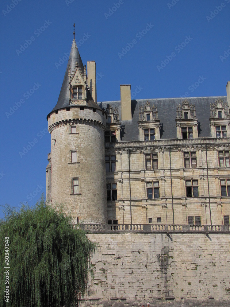 Fototapeta premium Château de La Rochefoucauld ; Charente, Limousin, Périgord