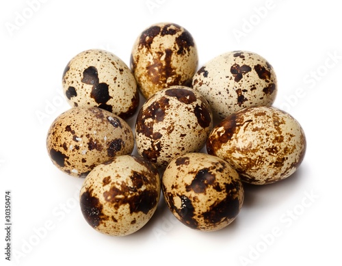 Quail eggs