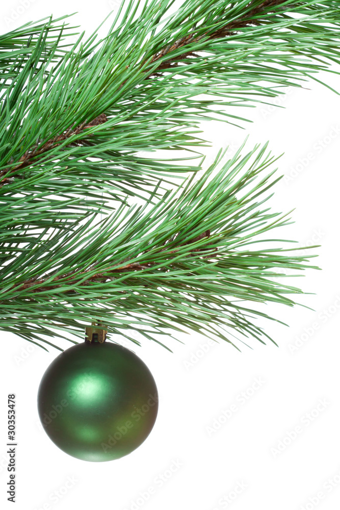 Fir-twig with christmas ball Fir-twig with christmas ball