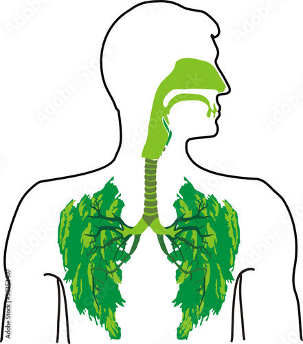 green lung - a breath of fresh air