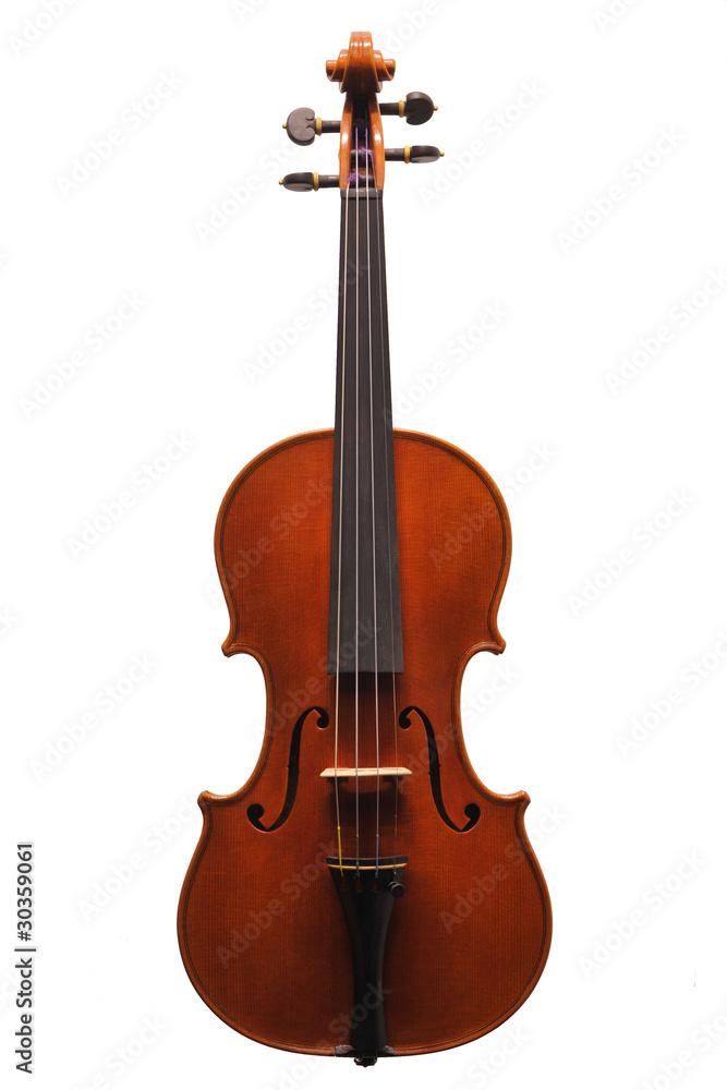 Obraz premium violino