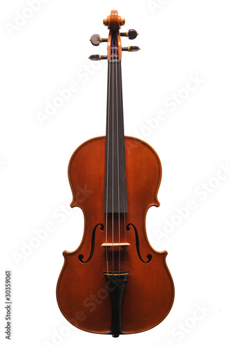 violino photo