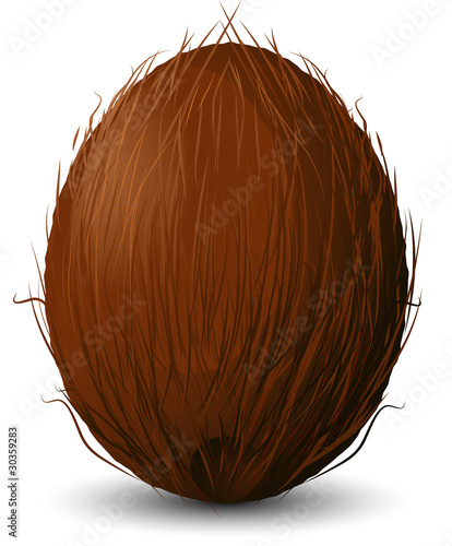 Coconut