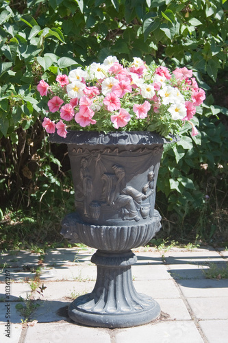 Flower pot in the park