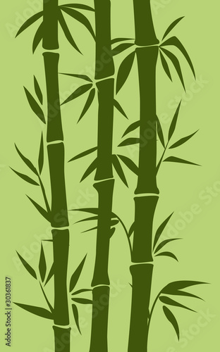 Fototapeta Naklejka Na Ścianę i Meble -  Bamboo tree illustration