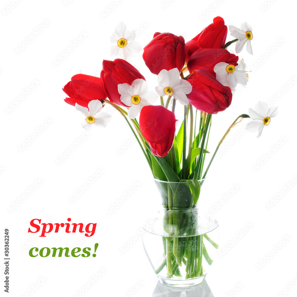 Red tulips and white narcissuses in vase Red tulips and white narcissuses in vase