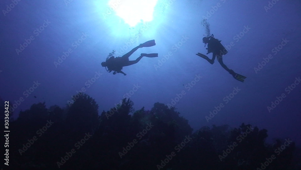 custom made wallpaper toronto digitalSilhouette of two scuba divers