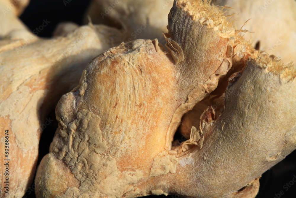 Obraz premium Ginger