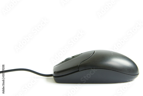 computer mouse