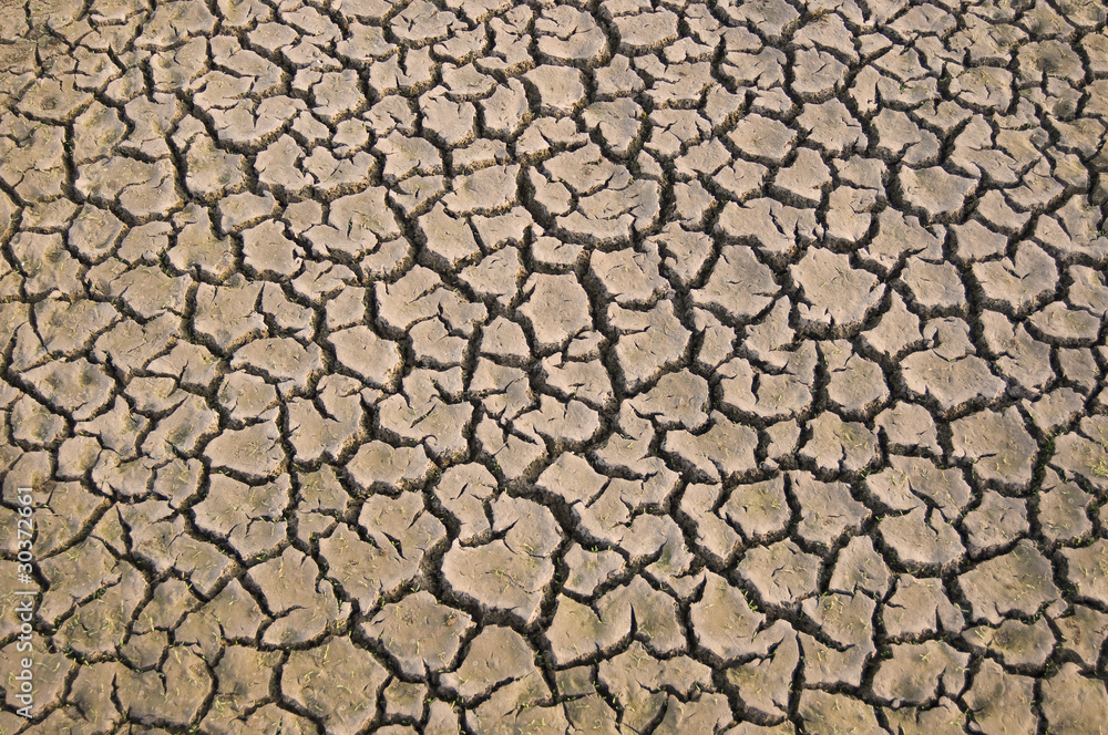 cracked dried earth surface, Rajasthan, India cracked dried earth surface, Rajasthan, India