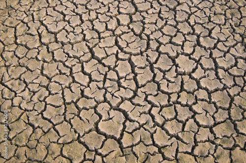 cracked dried earth surface, Rajasthan, India