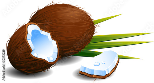 Coconuts