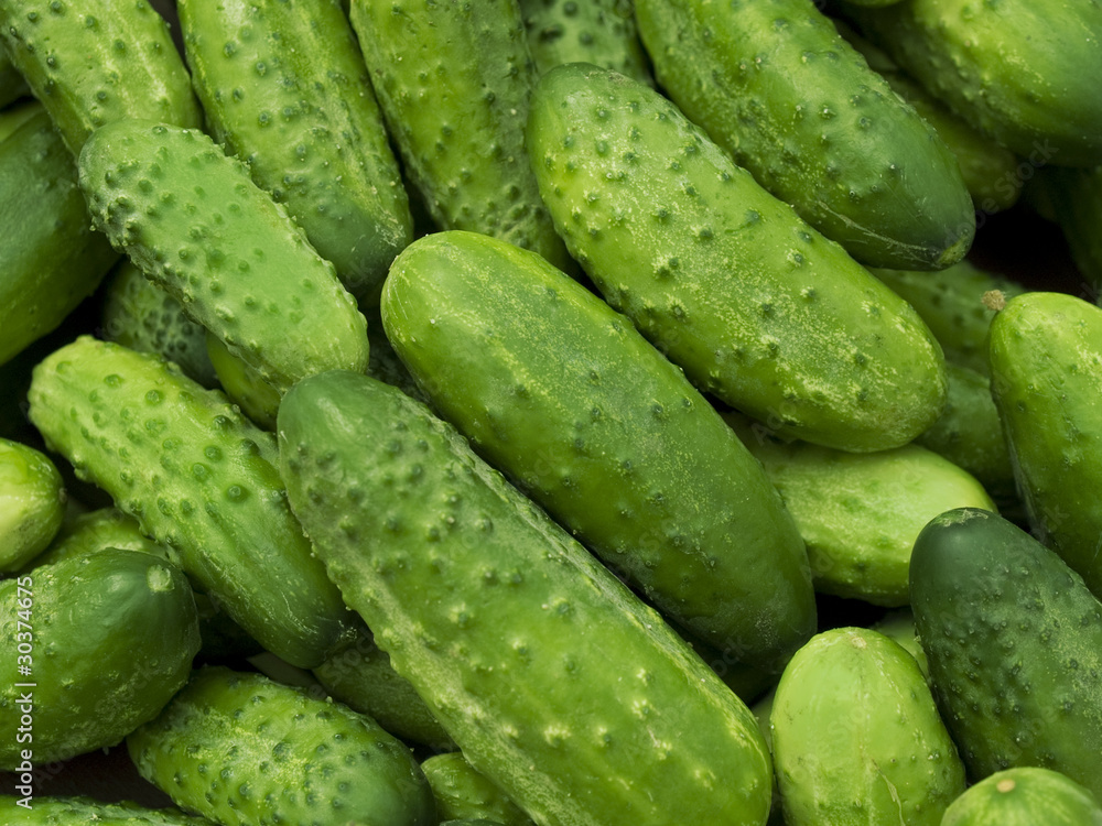 Cucumbers Cucumbers