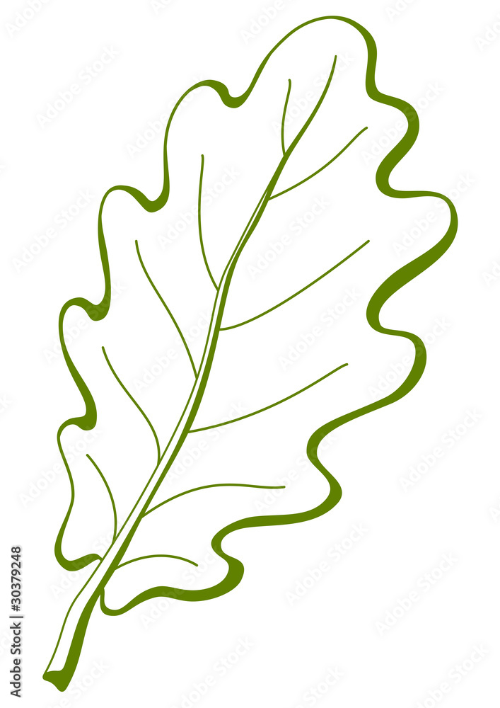 Obraz premium Leaf of oak tree 3, pictogram