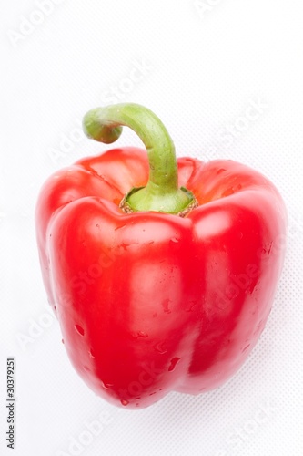 red pepper on white background