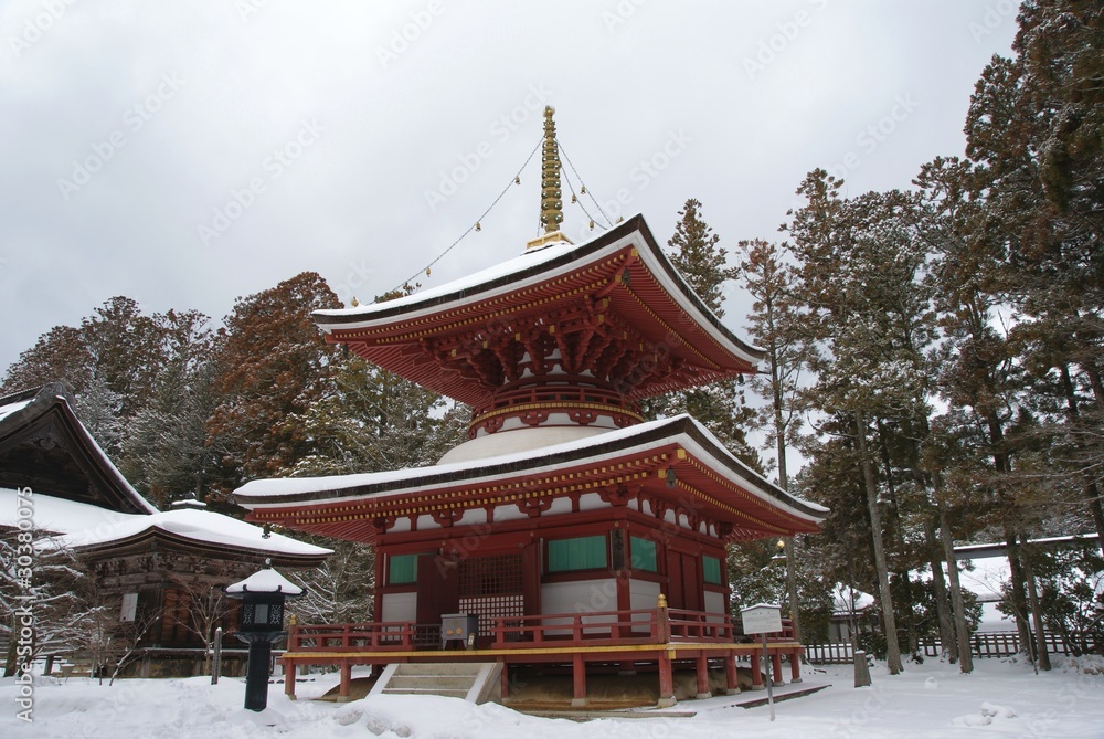 Pagoda in Koyasan, Japan