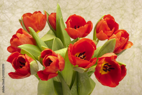 Tulpen Blumenstrauß Ostern