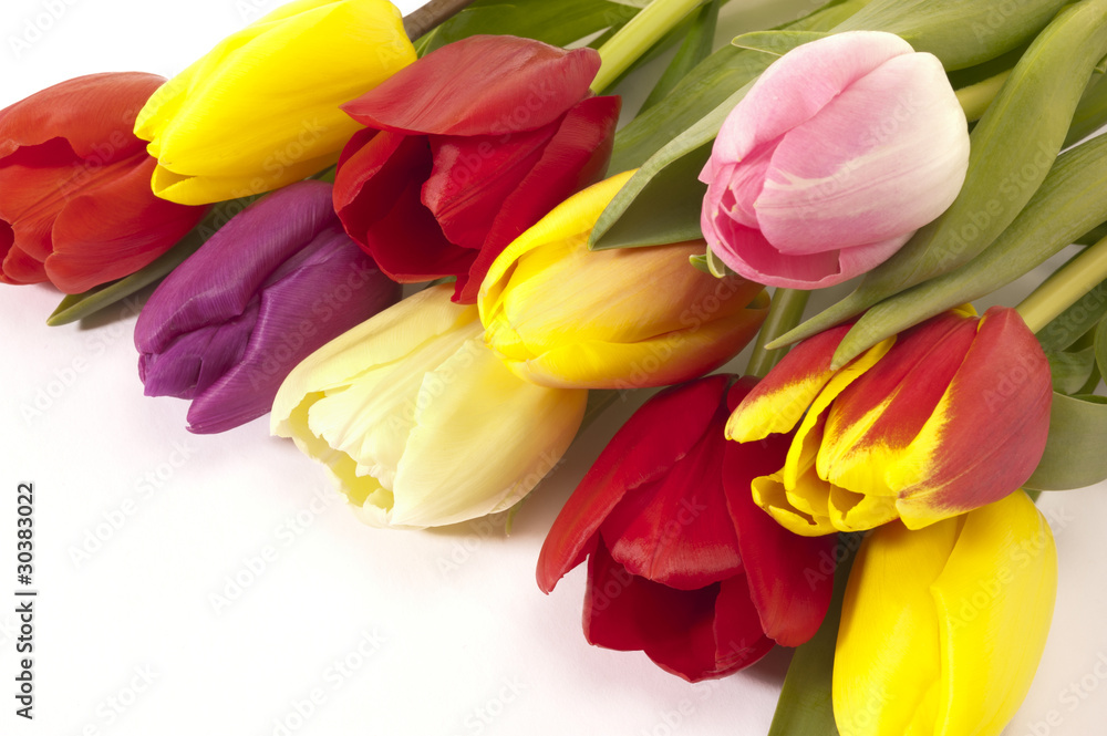 Tulpen Blumenstrauß Ostern Tulpen Blumenstrauß Ostern