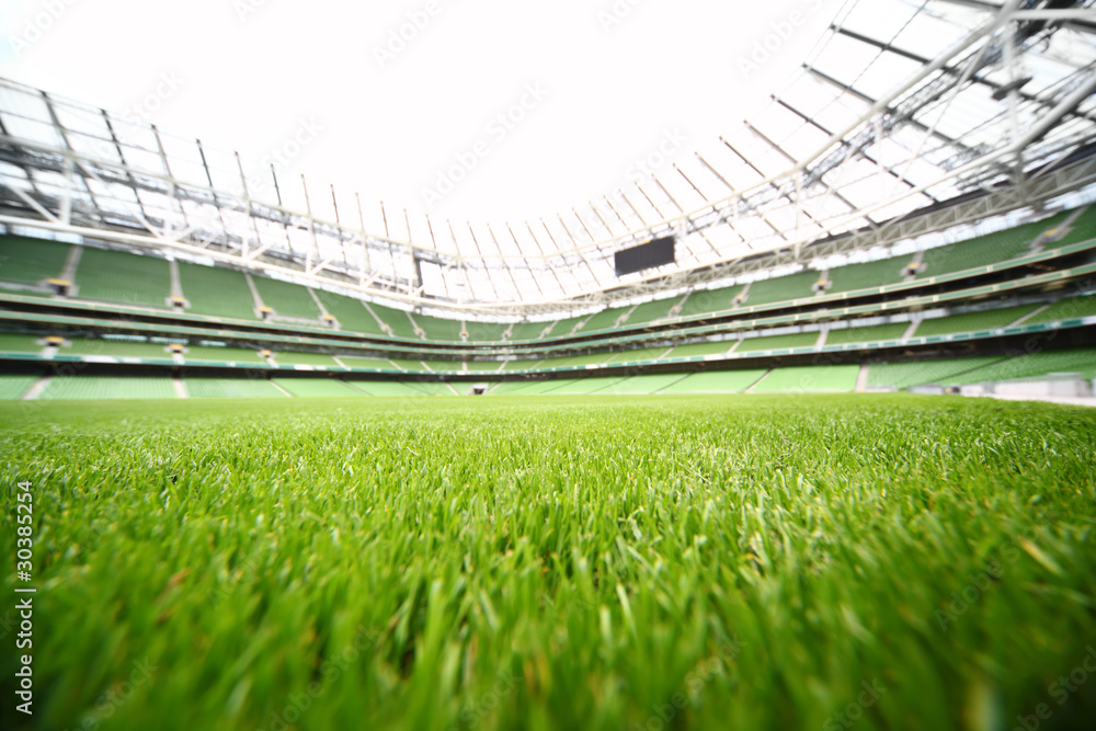 Naklejka premium green-cut grass in large stadium at summer day