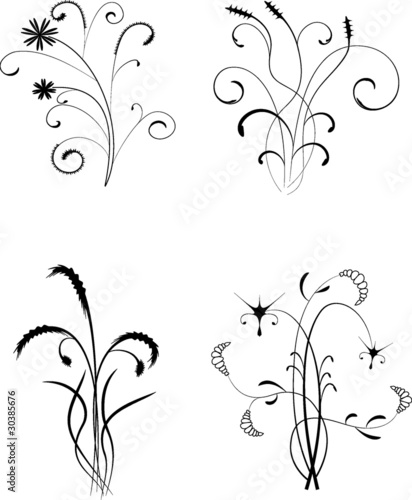 flowered curves