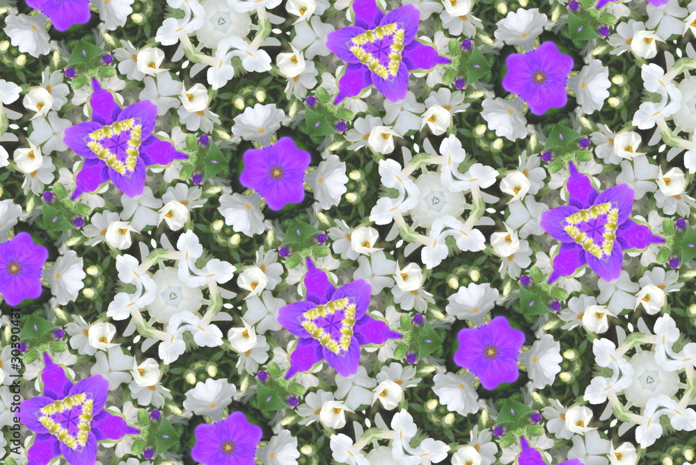 Kaleidoskop Violas Blütentraum Kaleidoskop Violas Blütentraum