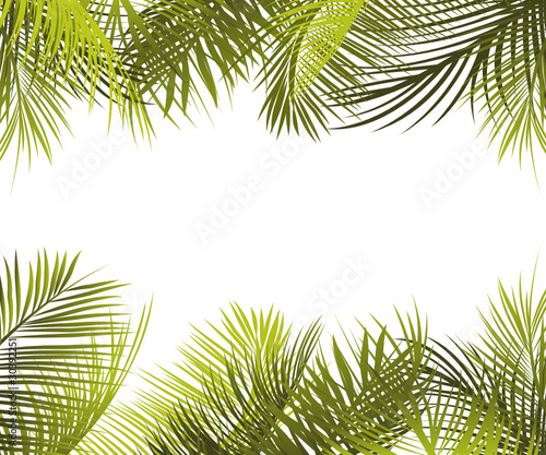 Green palm leaves frame photo