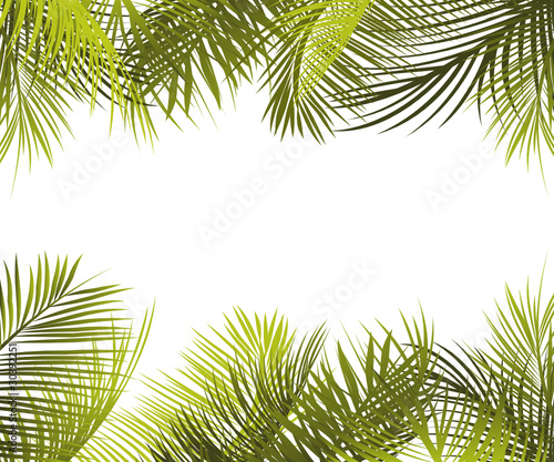 Green palm leaves frame