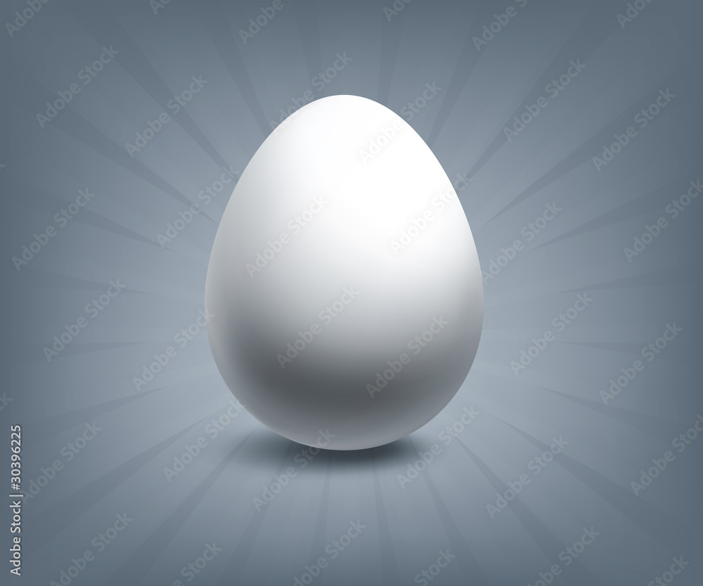 Egg illustration Egg illustration