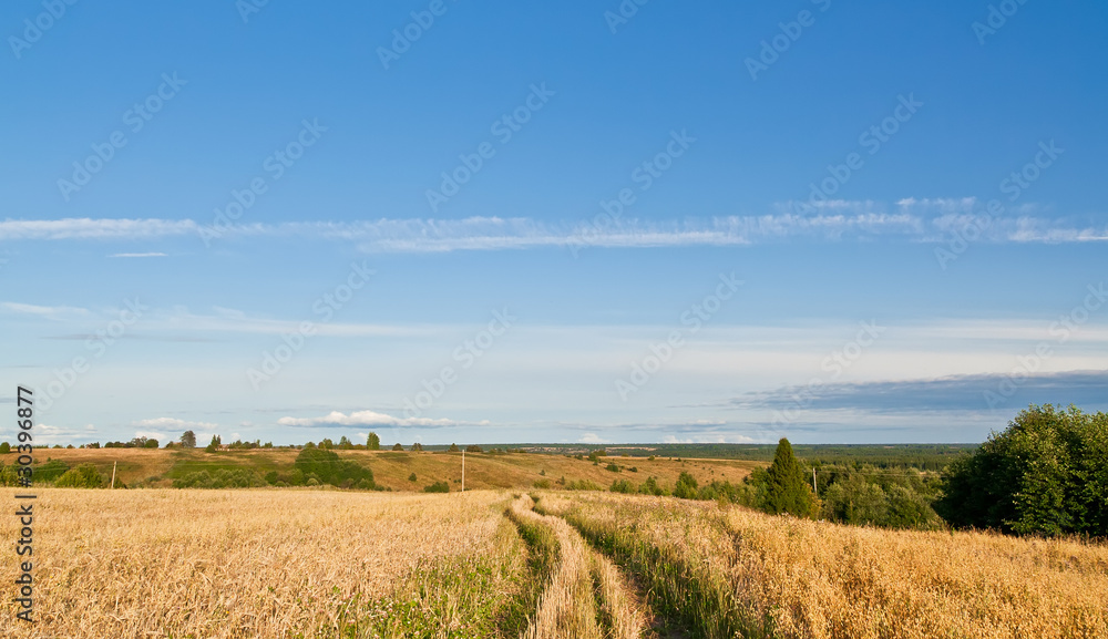 Fototapeta premium Road lane and deep blue sky