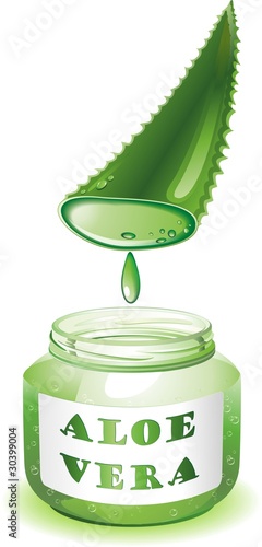 Aloe Vera Foglia e Succo-Aloe Leaf and Juice-Vector