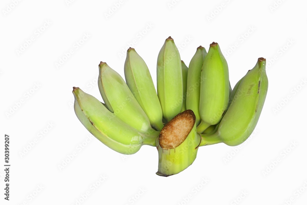 fresh Cultivated banana fresh Cultivated banana