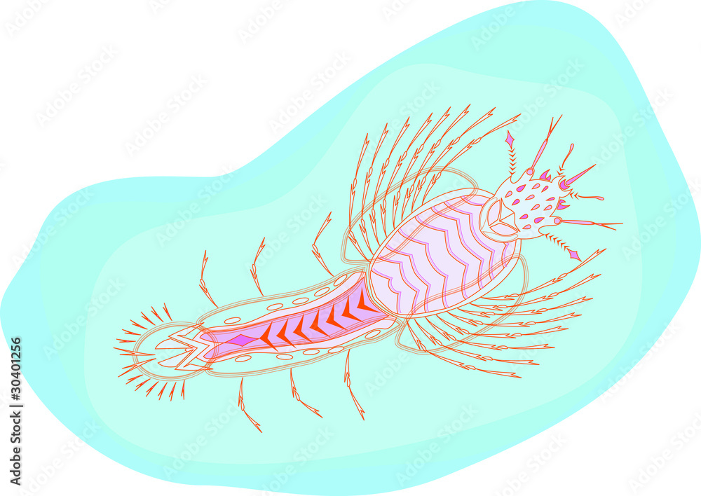 Obraz premium mosquito larvae