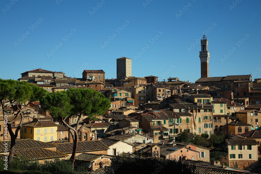 Siena, veduta panoramica