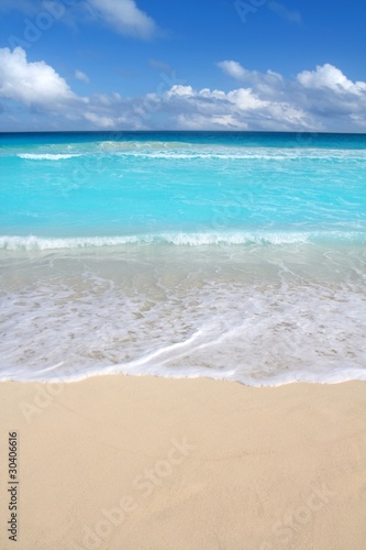 beach tropical vertical Caribbean turquoise sea © lunamarina