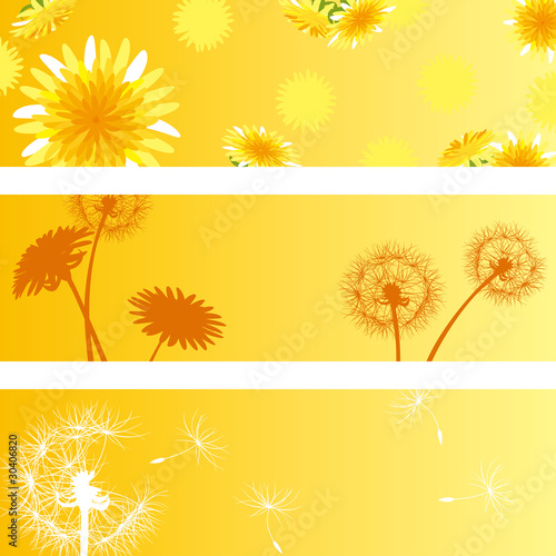 Dandelion banner set