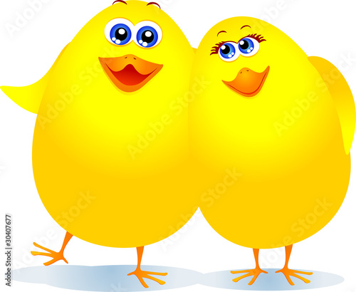 Pulcini abbracciati - Chicks embraced
