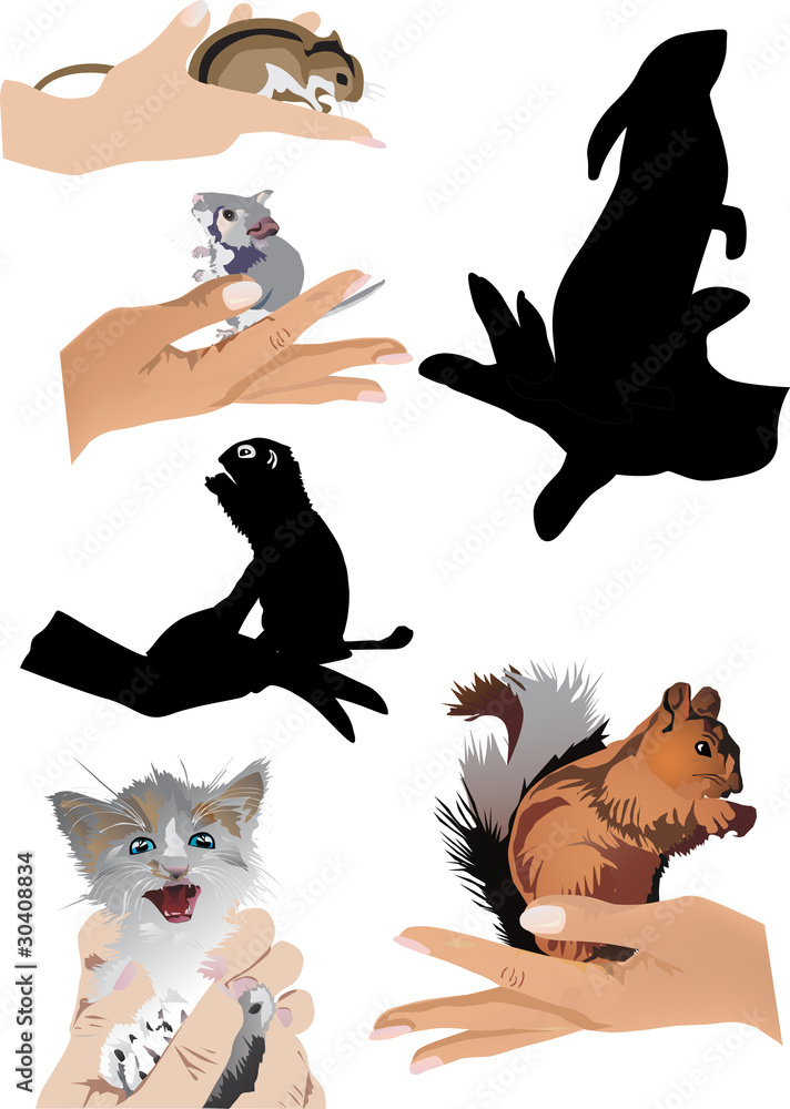 set of human hands with small animals