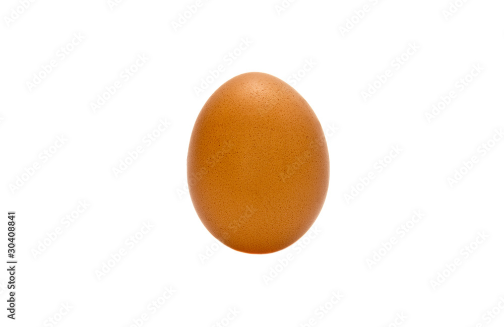 The Egg The Egg