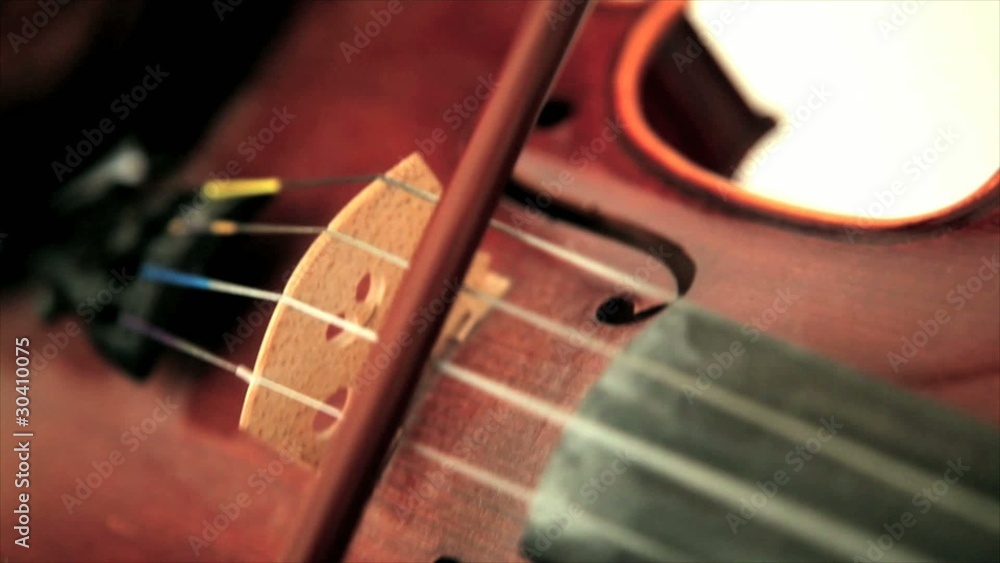 Playing the violin Playing the violin