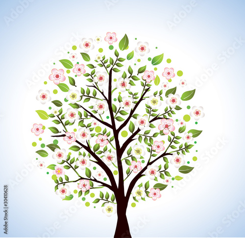 Cherry blossom tree