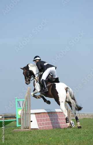 Show jumping horse event