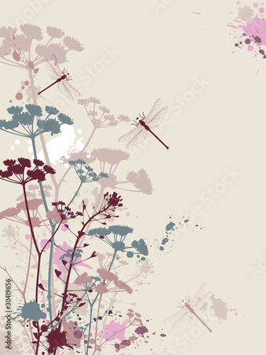 Grunge background with flowers and dragonfly