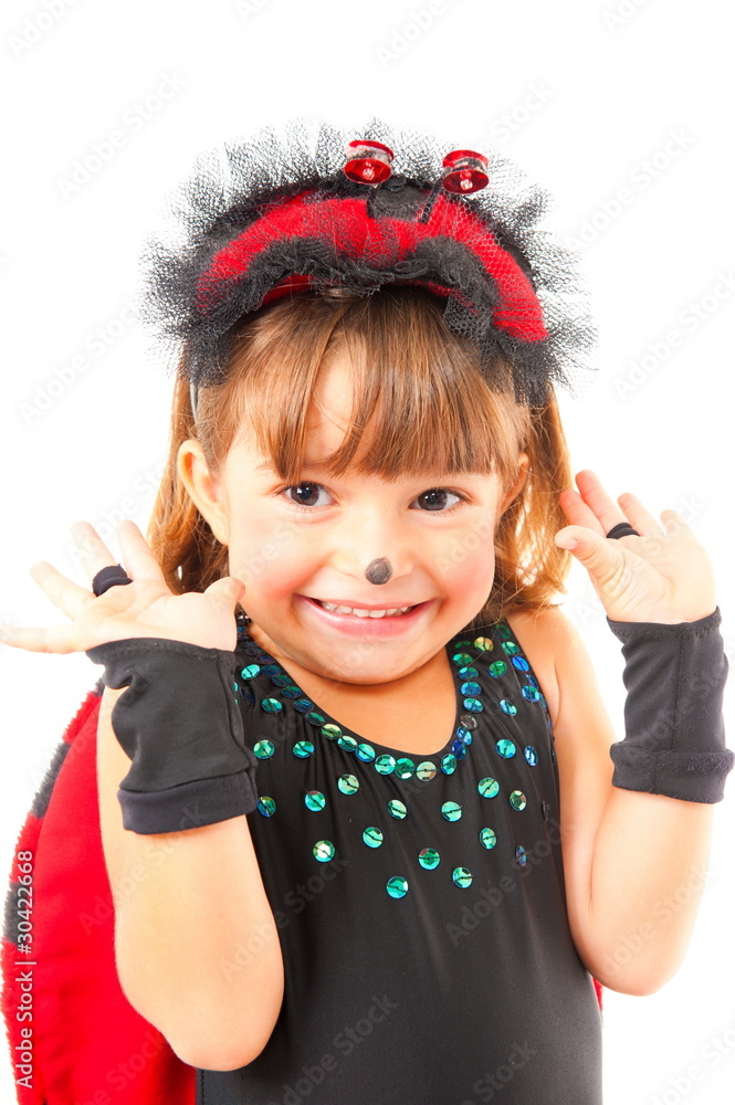 Ladybug Ladybug